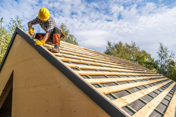 Best Roof Gutter Cleaning  in Decordova, TX